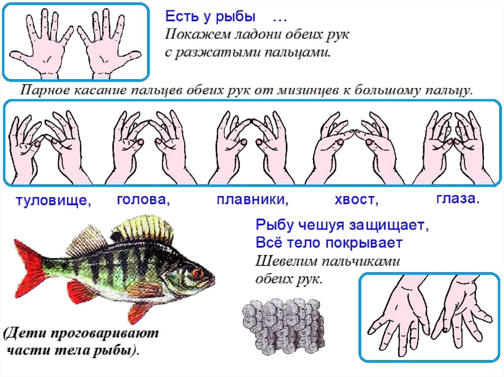 Презентация по лексической теме рыбы