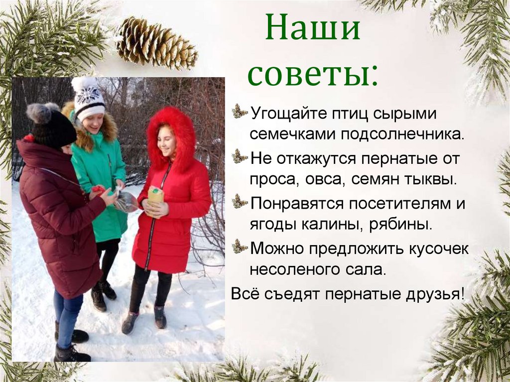 Наши советы: