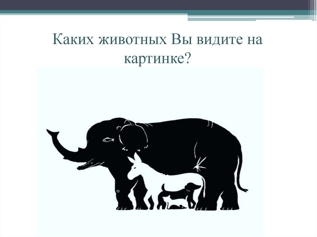 Сколько животных вы видите на картинке со слоном