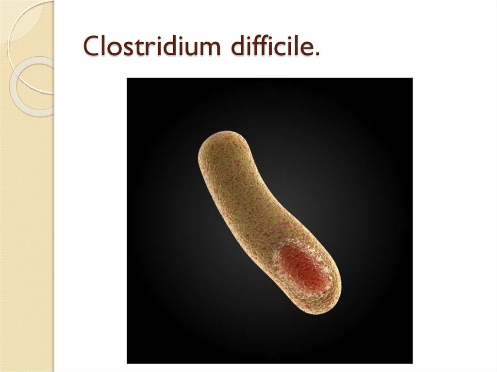 Токсин клостридии диффициле. Клостридиум диффициле. Столбнячная палочка Clostridium tetani. Clostridium difficile микробиология.