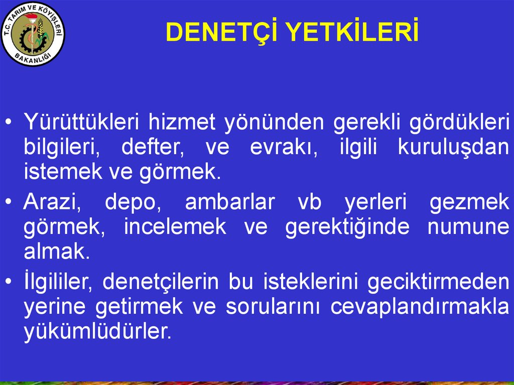DENETÇİ YETKİLERİ
