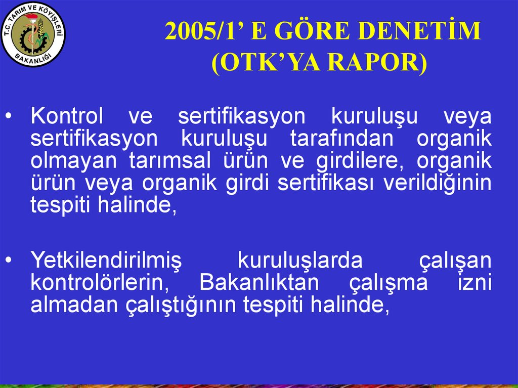 2005/1’ E GÖRE DENETİM (OTK’YA RAPOR)