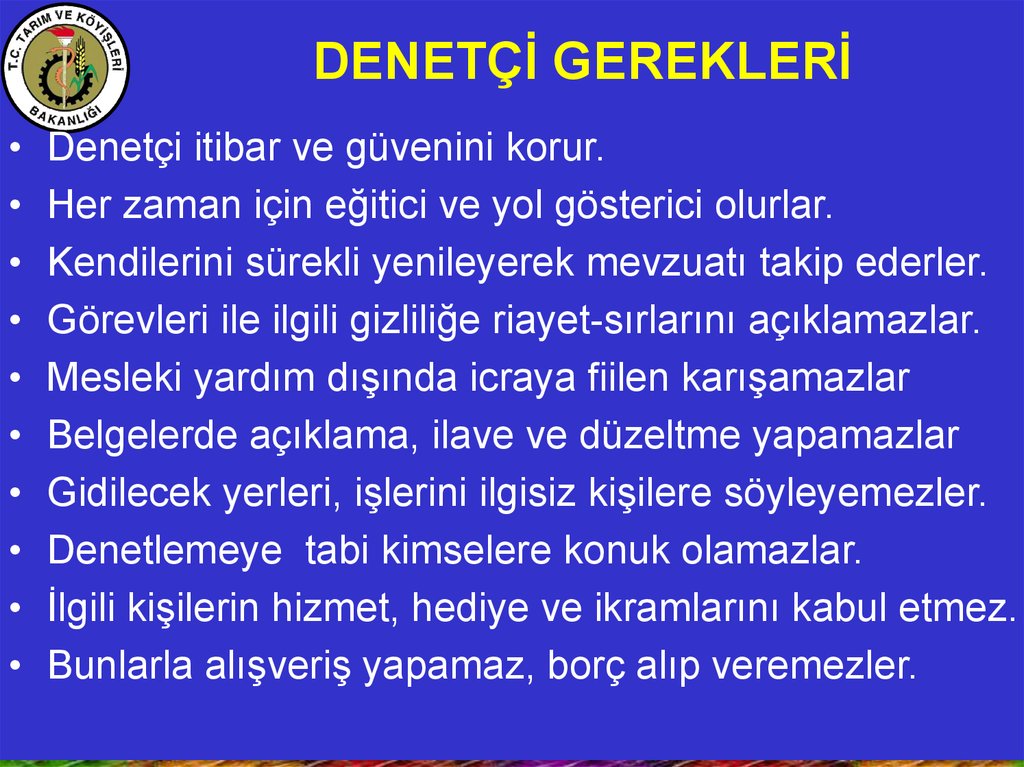 DENETÇİ GEREKLERİ