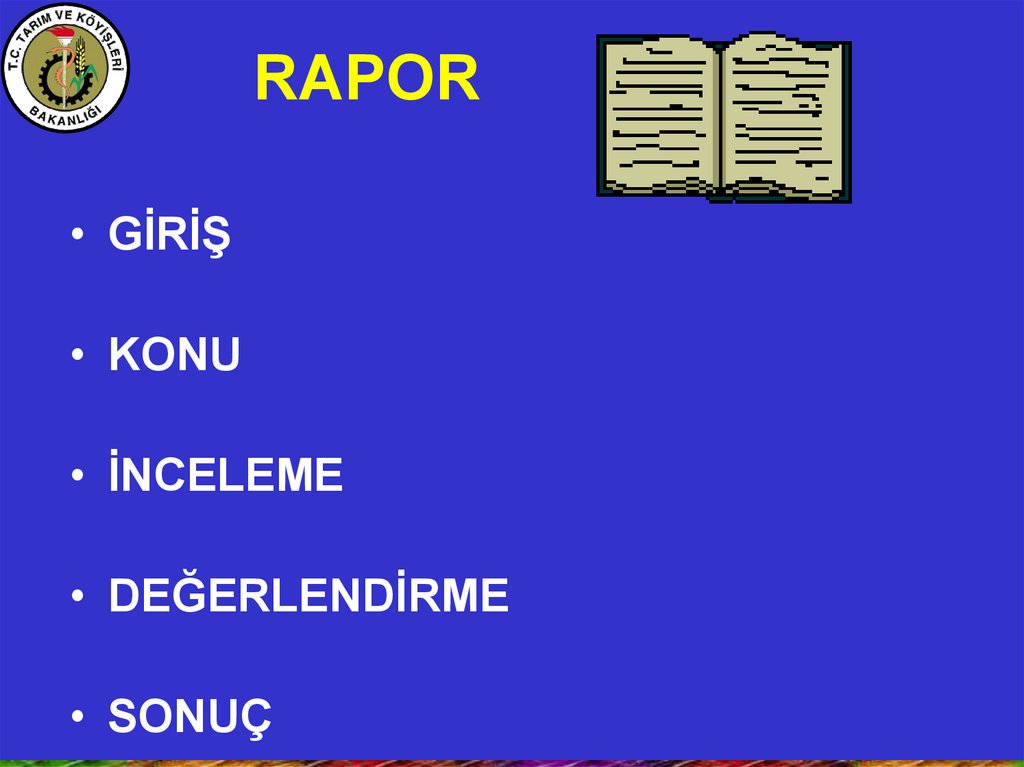 RAPOR