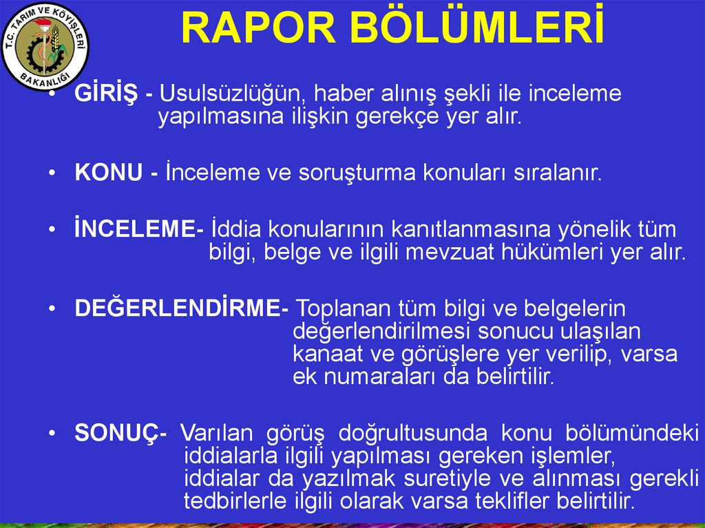 RAPOR BÖLÜMLERİ
