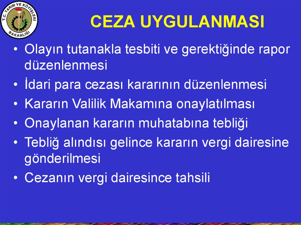 CEZA UYGULANMASI
