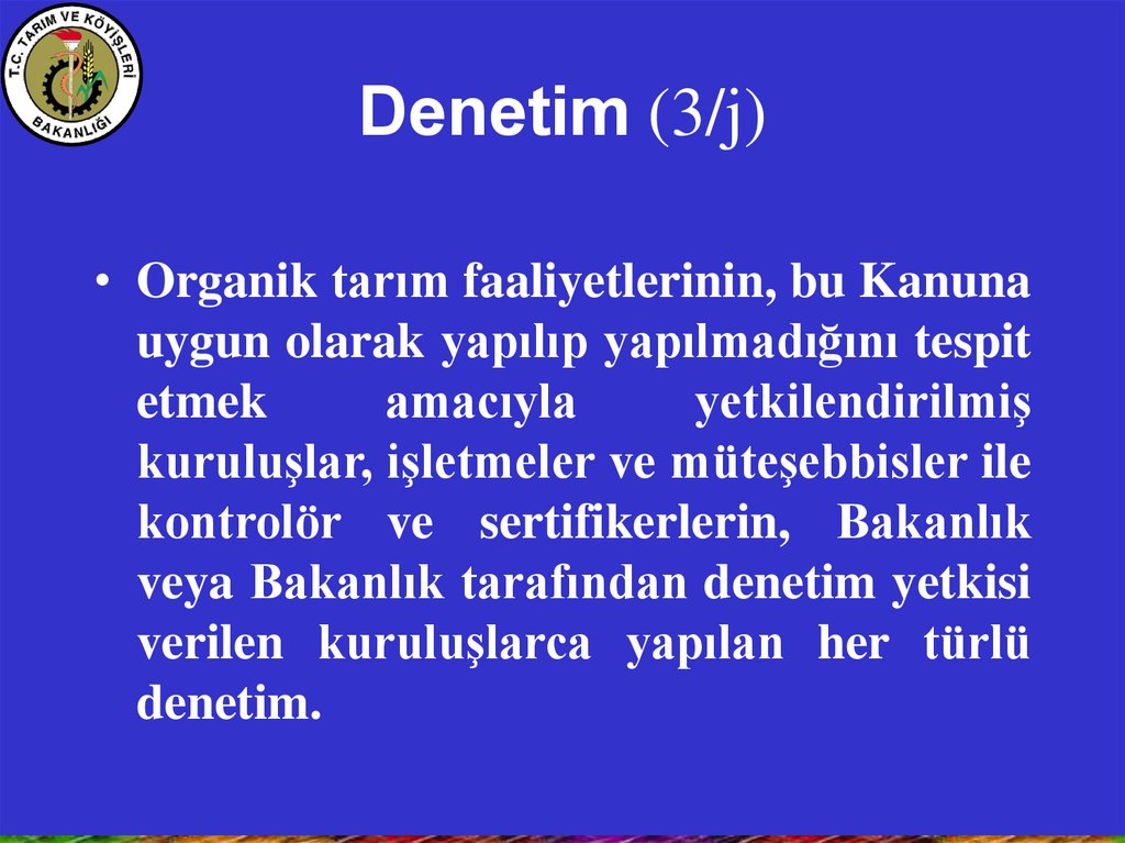 Denetim (3/j)
