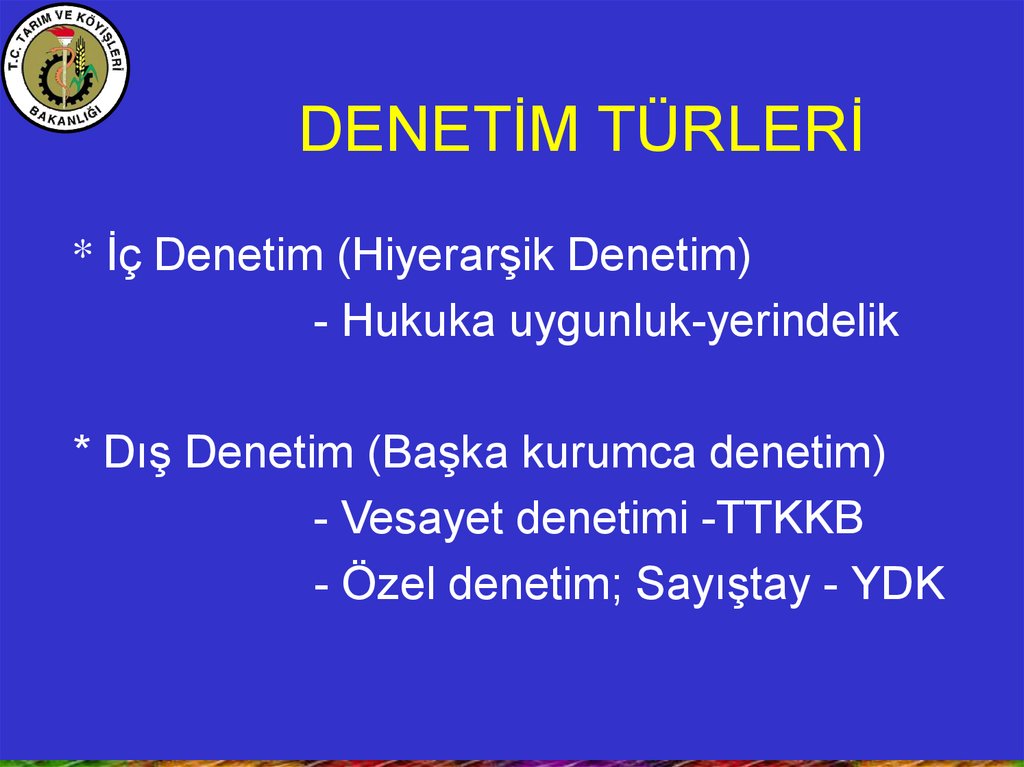 DENETİM TÜRLERİ
