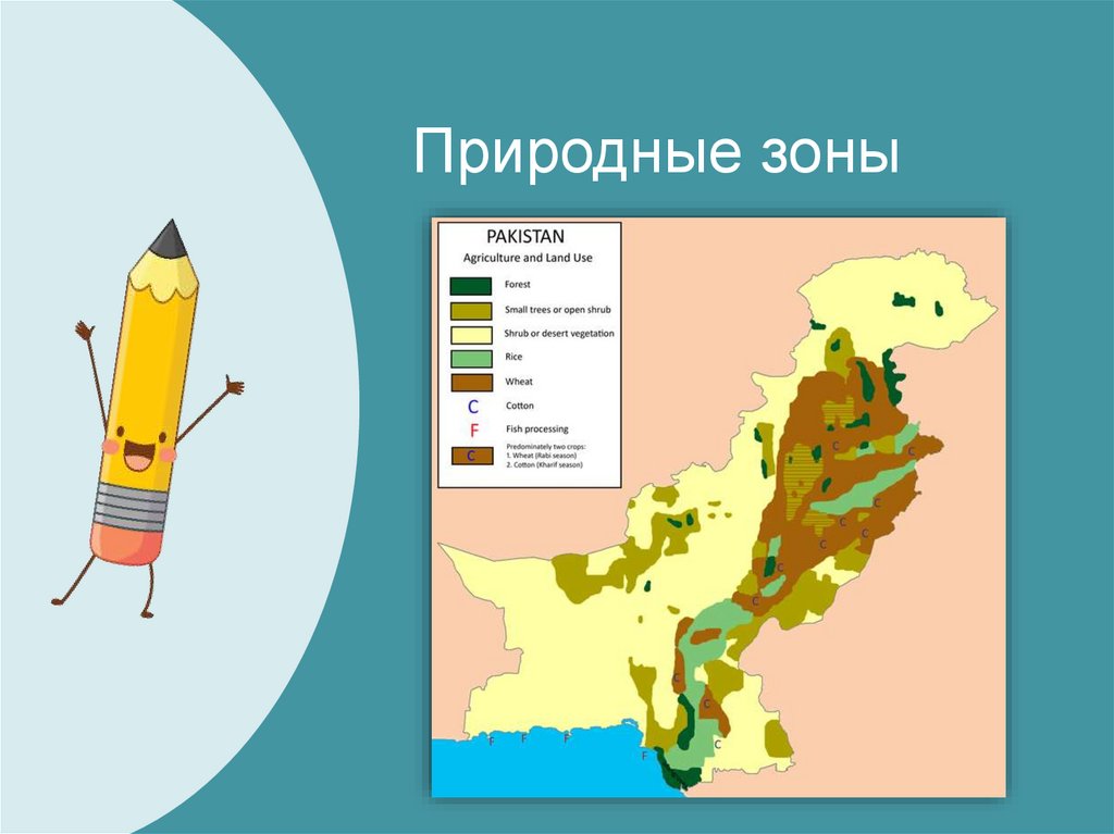 Природные зоны