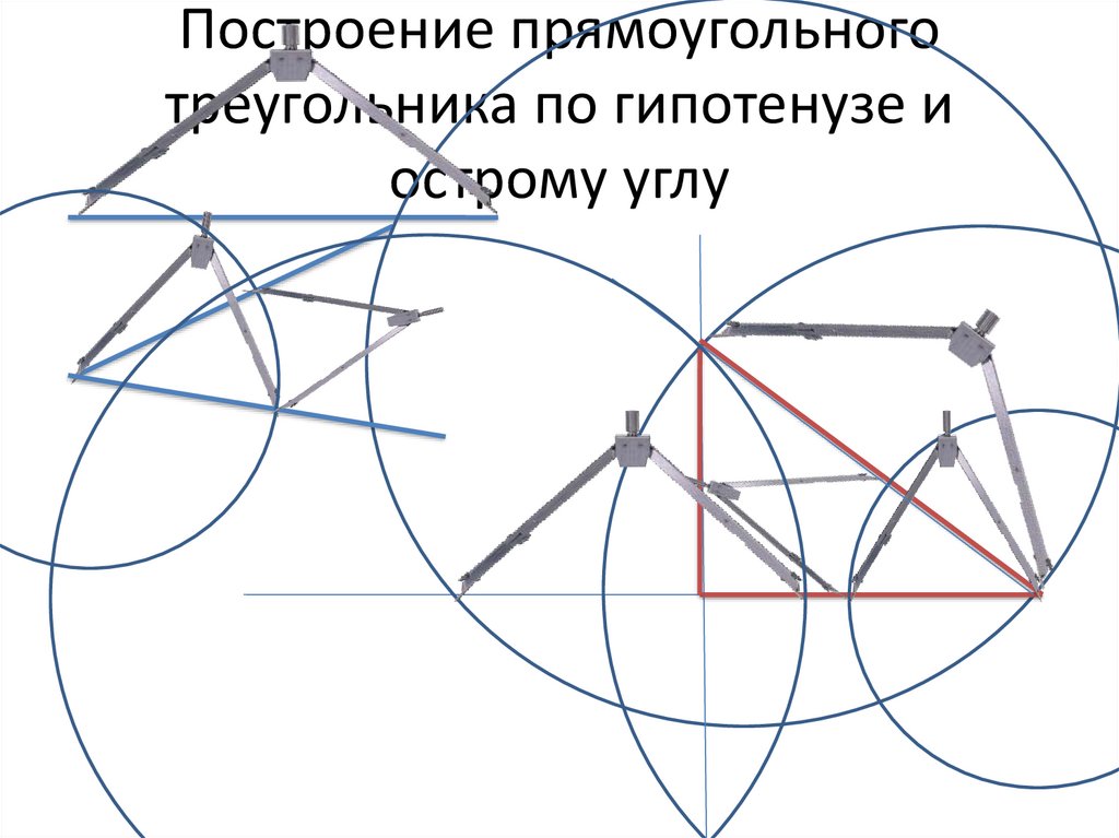 Построить прямоугольный треугольник