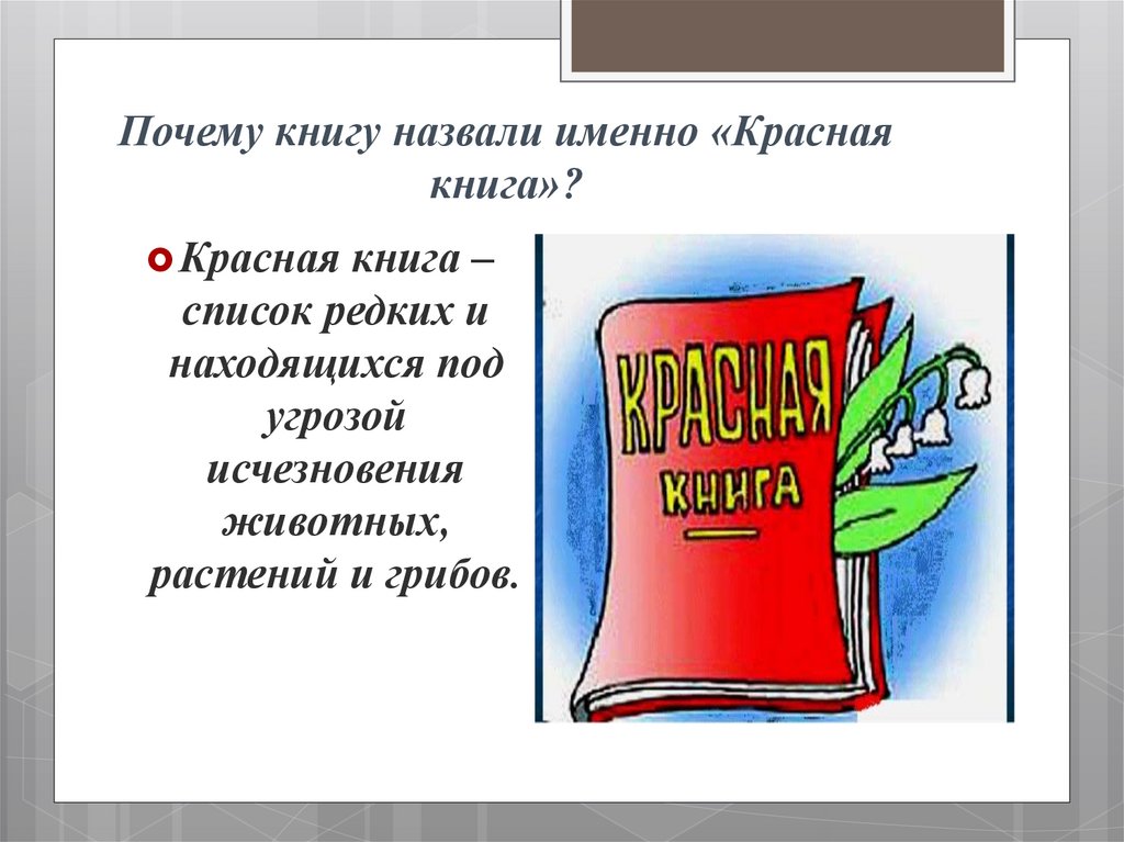 Почему красная книга красная. Почему книга называется красной. Почему книга называется красной книгой. Почему красная книга называется красной. Красная книга почему так называется.