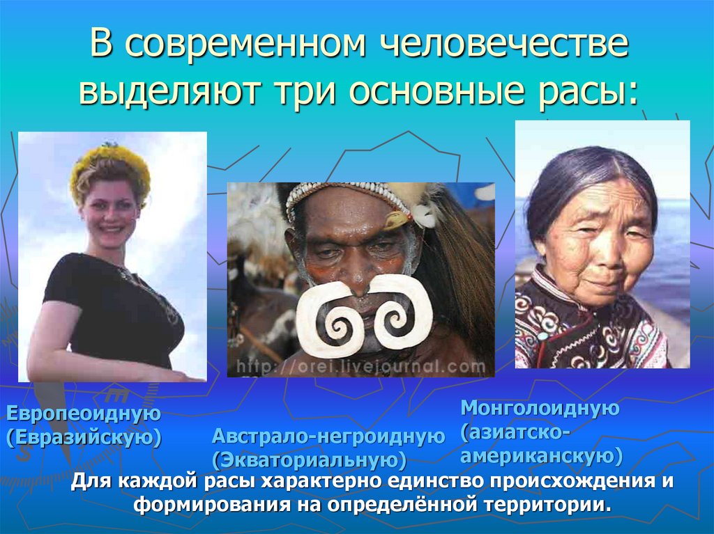 Единство рас человека подтверждается. Три расы человечества. Основные расы. Интересные факты о монголоидной расе. Единство происхождения человеческих рас.