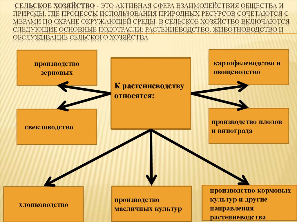 Взаимодействие сфер общества. Меры по охране окружающей среды. Правовая охрана окружающей среды в сельском хозяйстве. Охрана окружающей среды в растениеводстве. Меры по охране окружающей среды кратко.