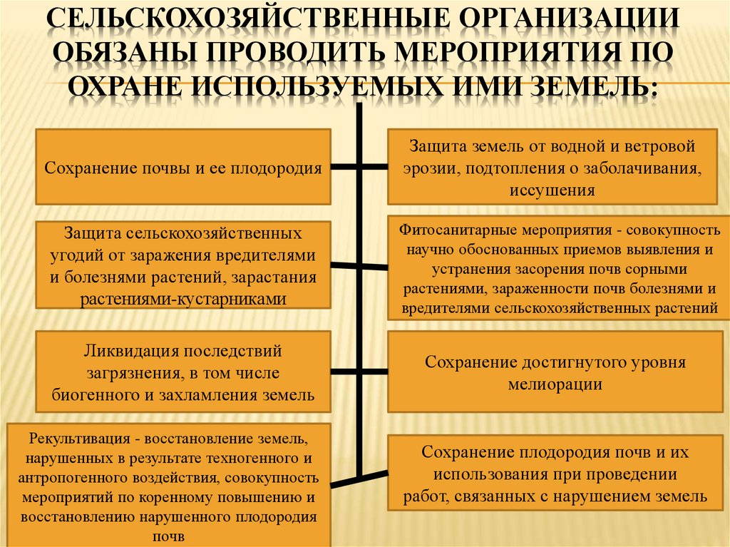 Международно правовая охрана окружающей среды презентация