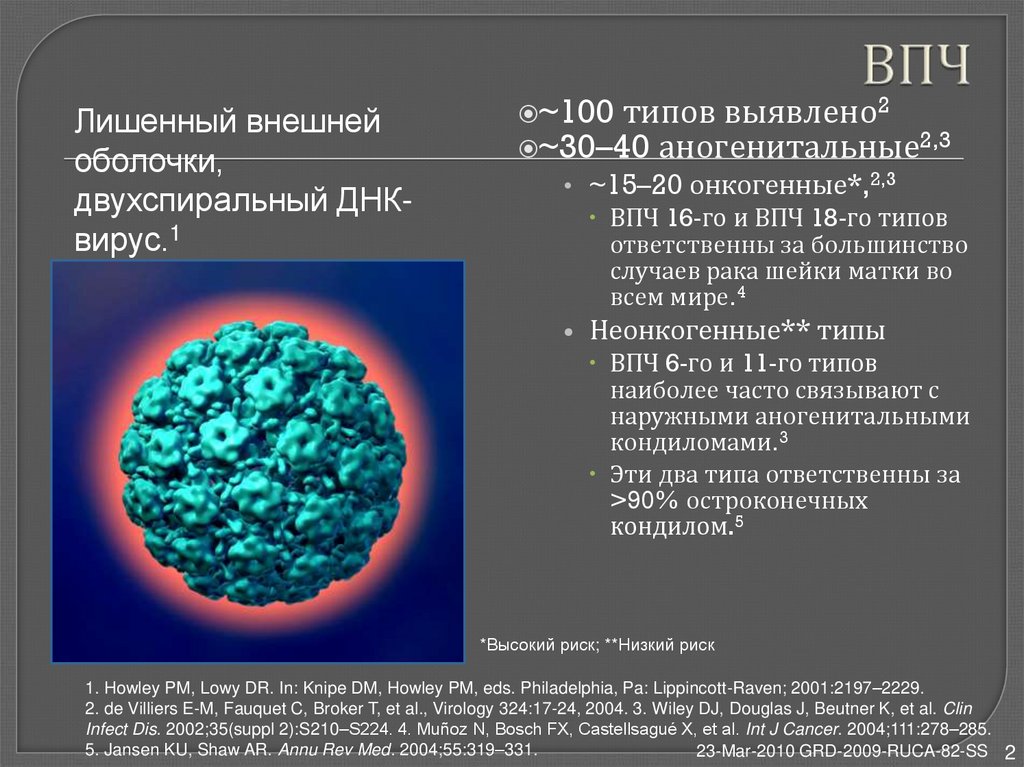 Впч 16 18 обнаружено