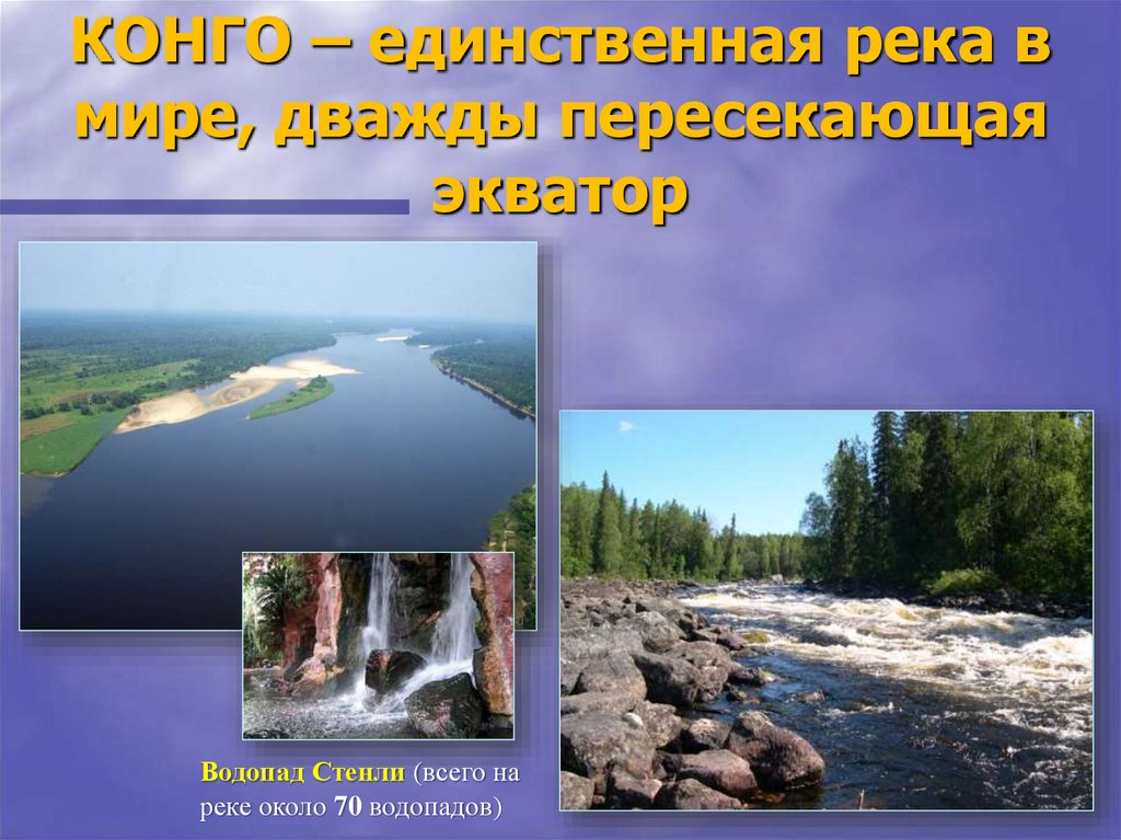 Реки пересекающие экватор. Презентация на тему река Конго по географии 7 класс. Река Конго география 7 класс. Сообщение о реке Конго. Единственная река которая течет.