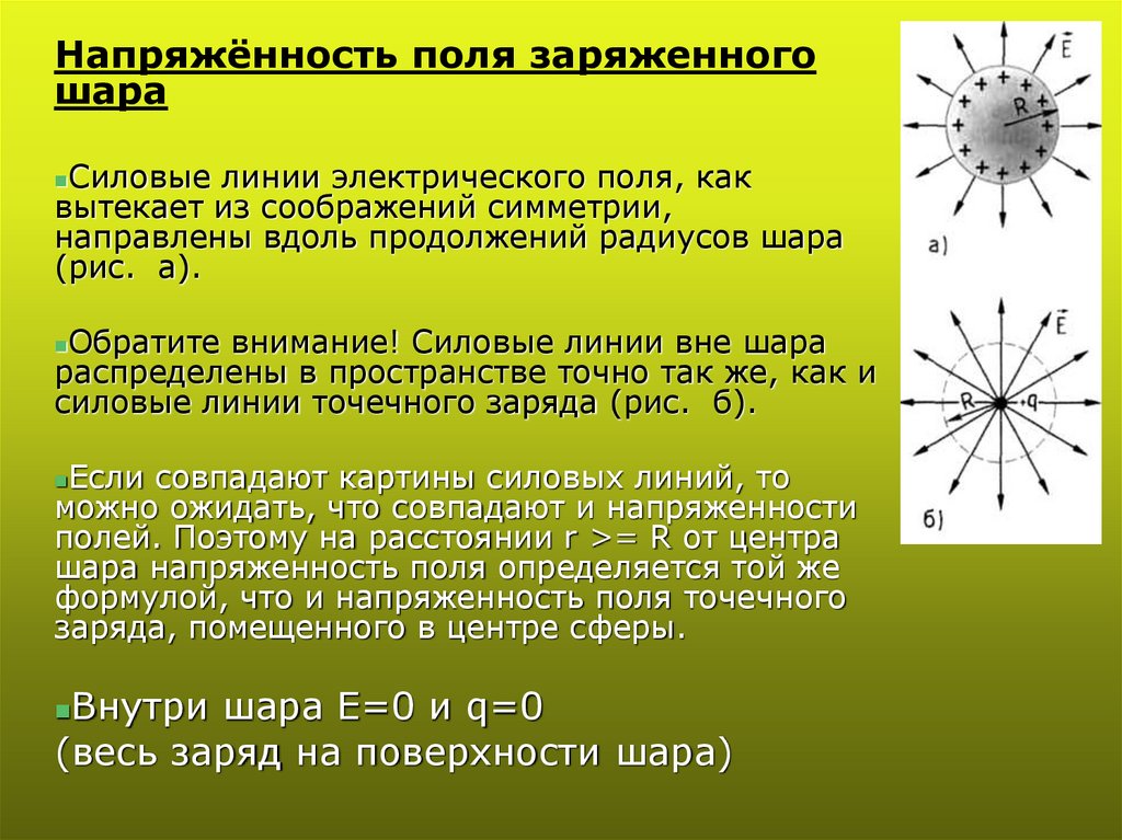 Напряженность электрического поля силовые линии 10 класс презентация