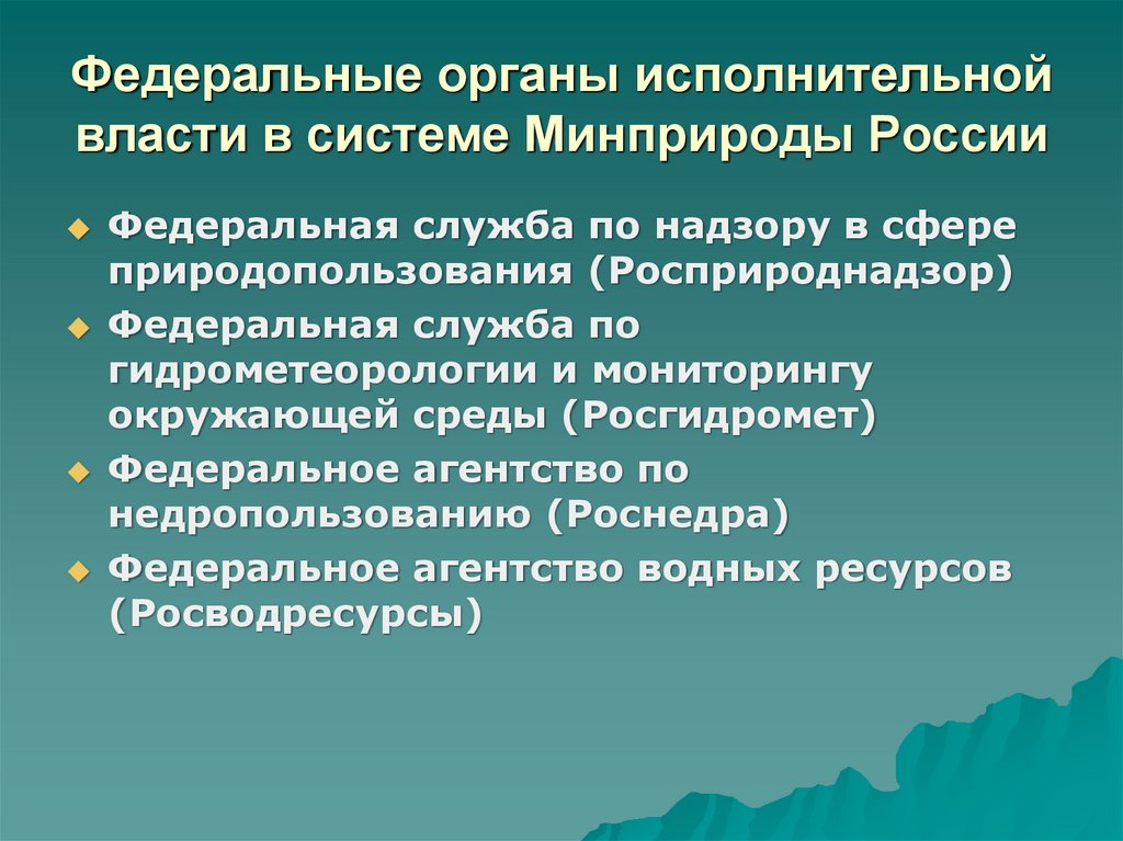 Федеральные органы исполнительной власти в системе Минприроды России