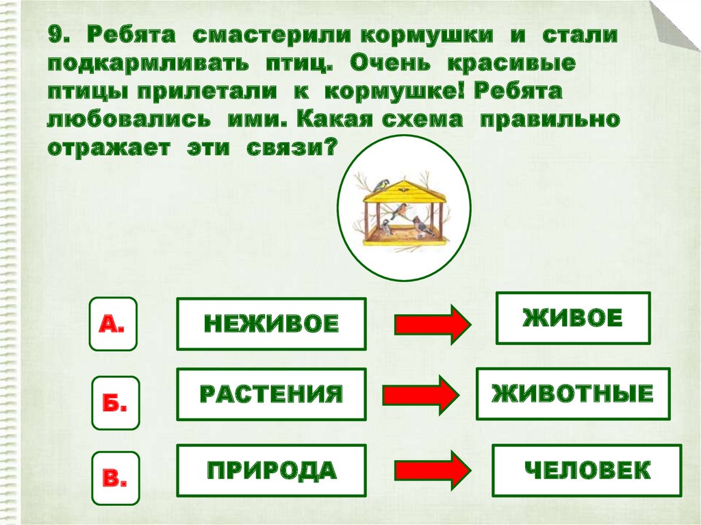 Что смастерили ребята для птиц