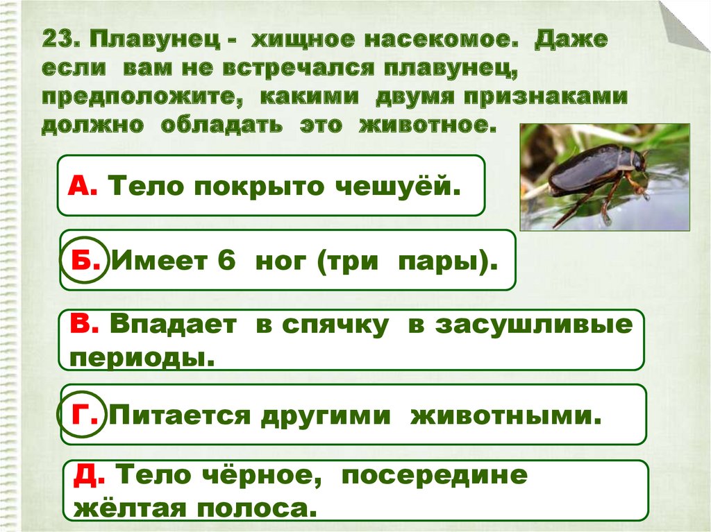 Сравни окружающую среду жука плавунца и водомерки составь план наблюдения