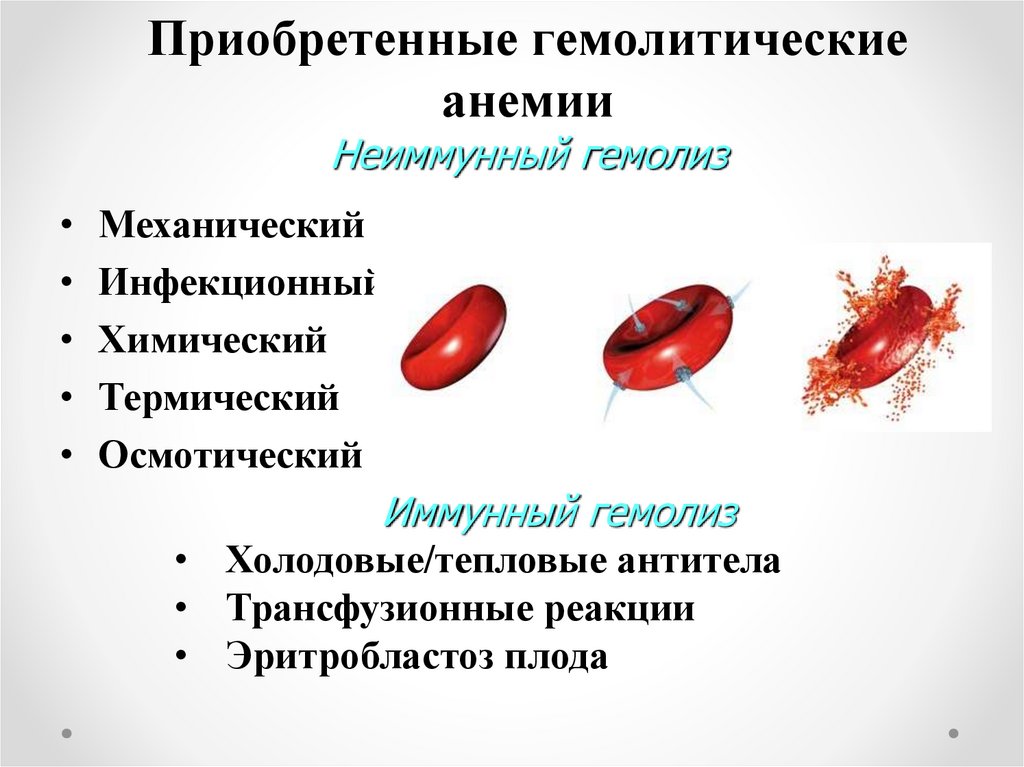 Анемия гемолитического типа. Аутоиммунная гемолитическая анемия. Приобретенные гемолитические анемии. Приобретенные гемолитические анемии у детей. Приобретённые гемолитический анпмии.
