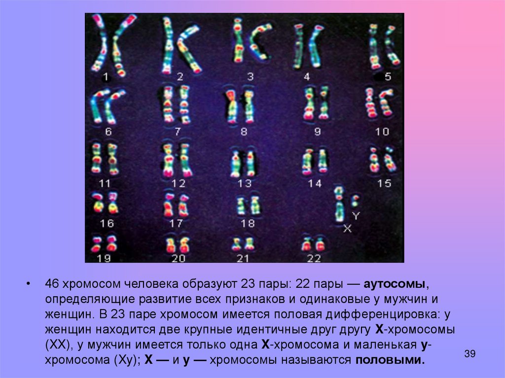 46 хромосом 1. Хромосомы человека. 46 Хромосом. Половые хромосомы человека. 2 Пара хромосом человека.
