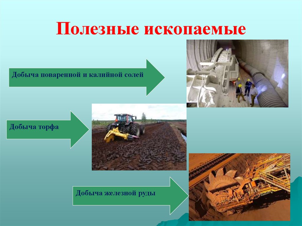 Полезные ископаемые