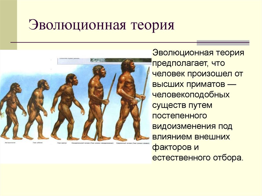 Эволюционное происхождение человека презентация 9 класс пономарева. Эволюционная теория. Теория эволюции человека. Симиальная теория антропогенеза. Эволюционная теория происхождения человека.