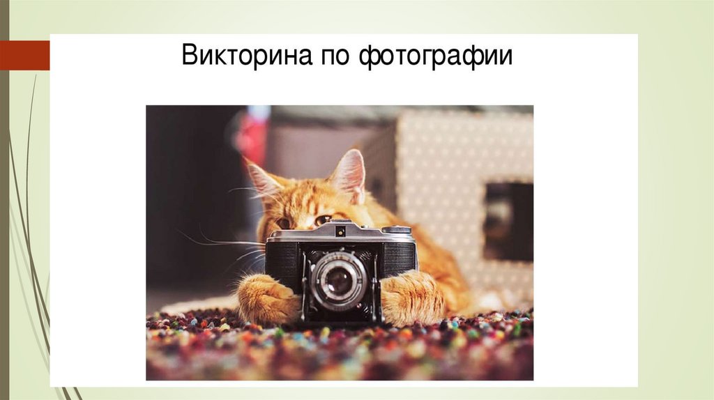 Презентация по фотографии