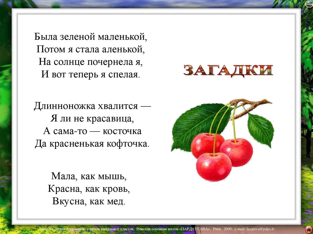 Загадка была зеленой. Загадка про вишню для детей. Стих вишня. Стих про вишню для детей. Стишки про вишню для детей.