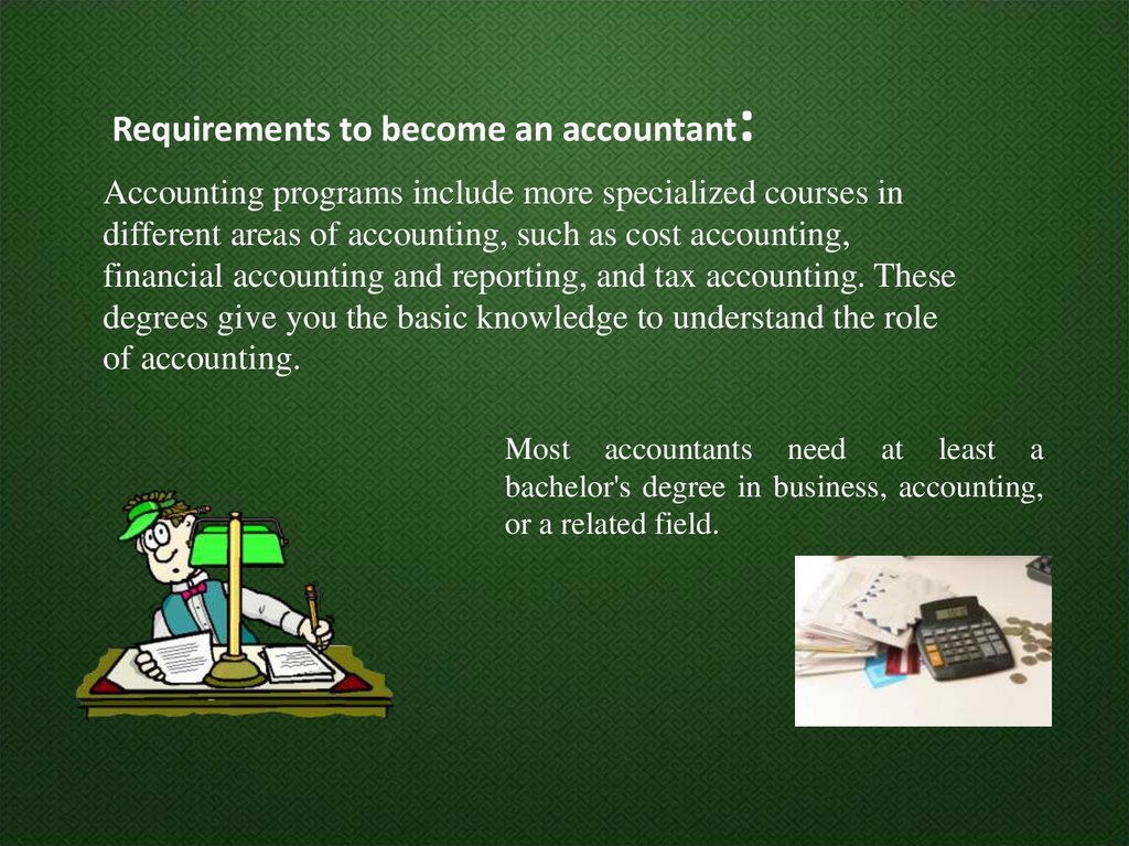 my future profession accountant essay