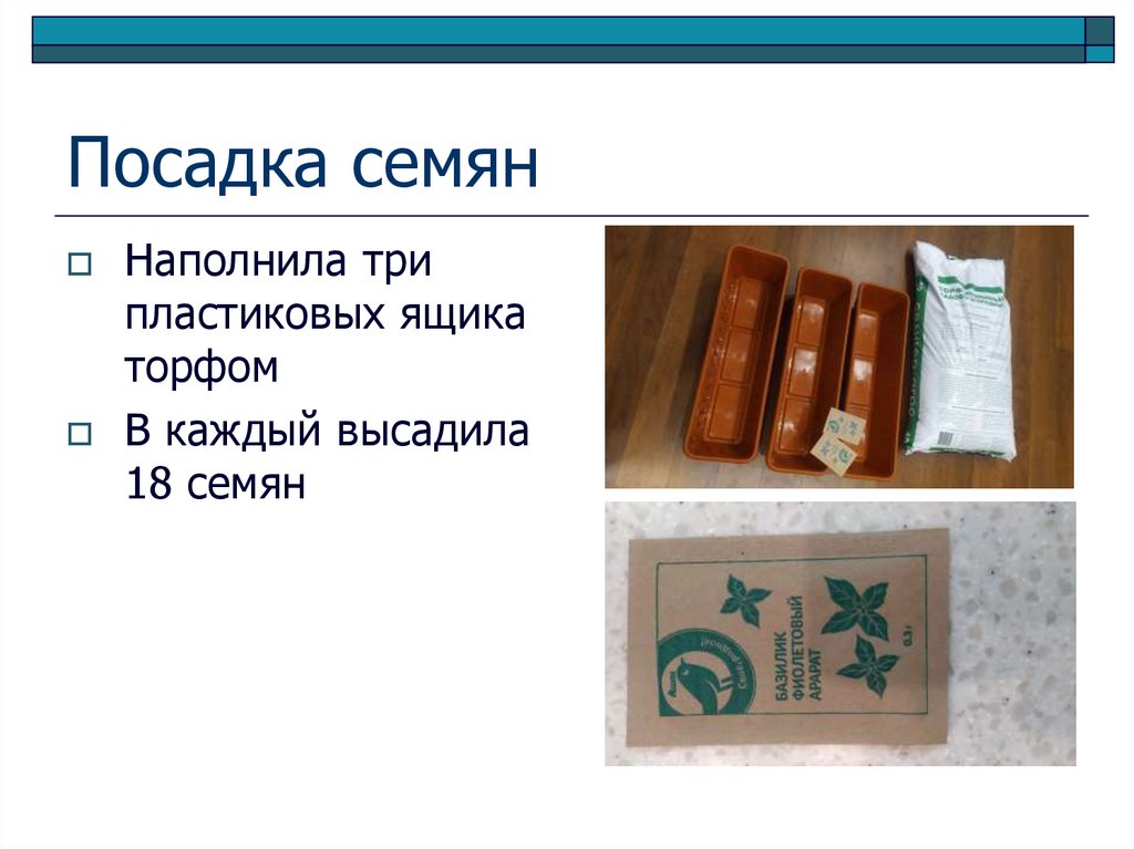 Посадка семян