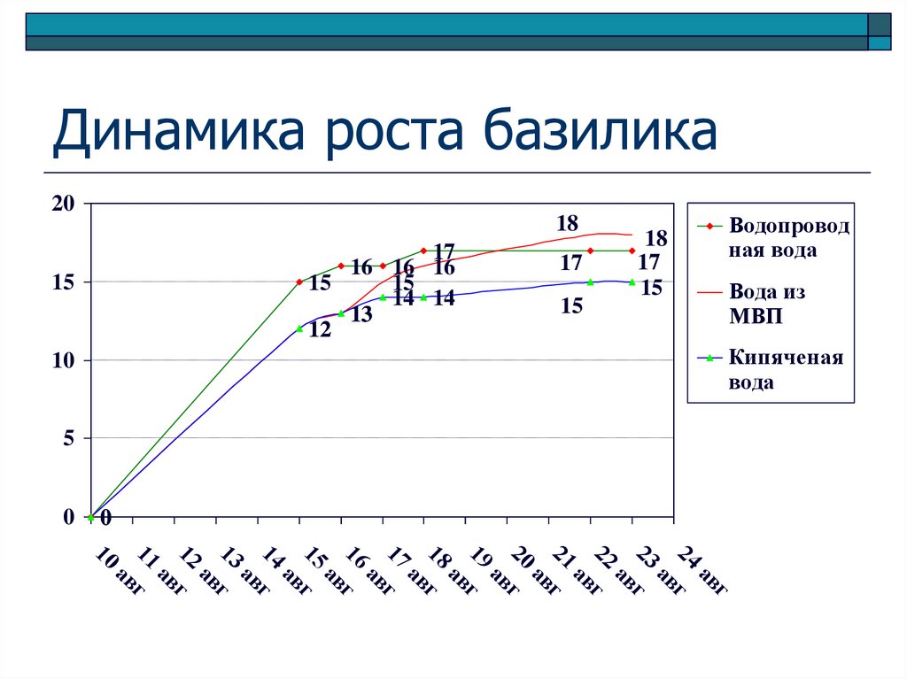 Динамика роста базилика