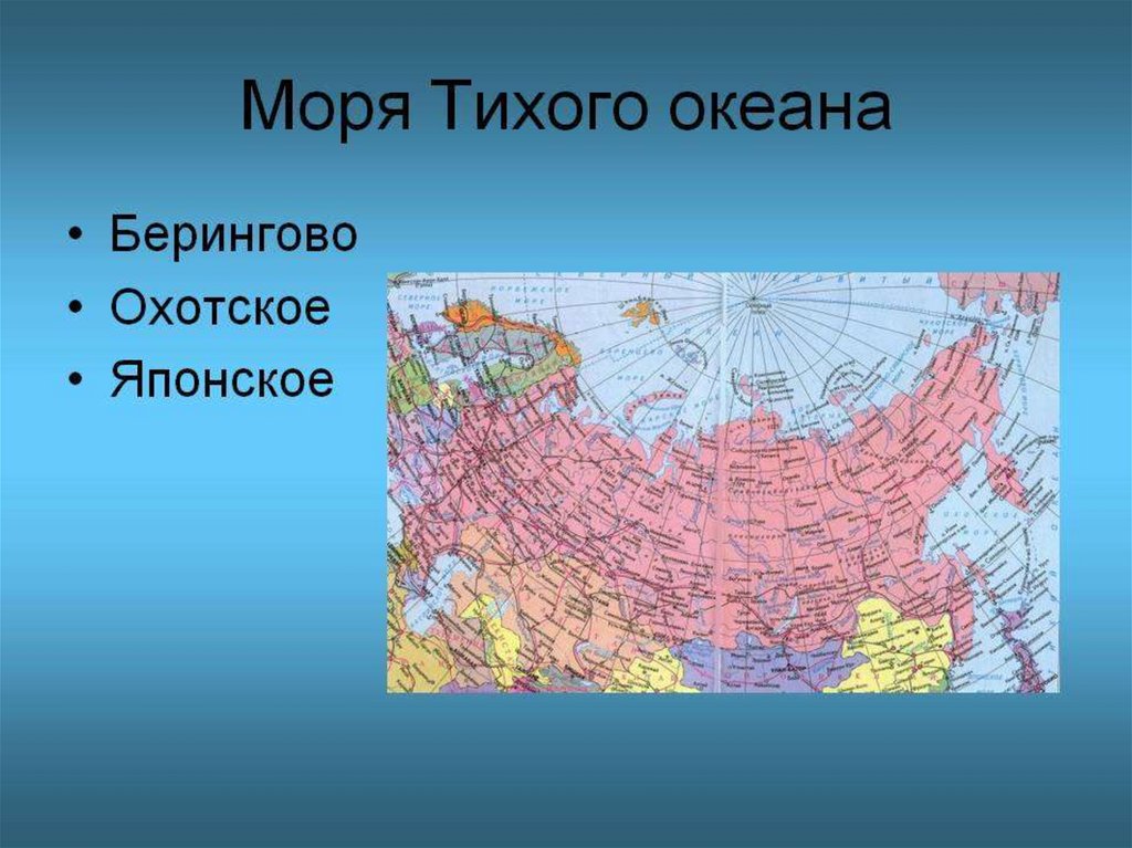 Сколько морей омывает. Моря Тихого океана омывающие Россию. Россия омывается. Моря Тихого океана омывающие Россию на карте. Россия омывается 13 морями.