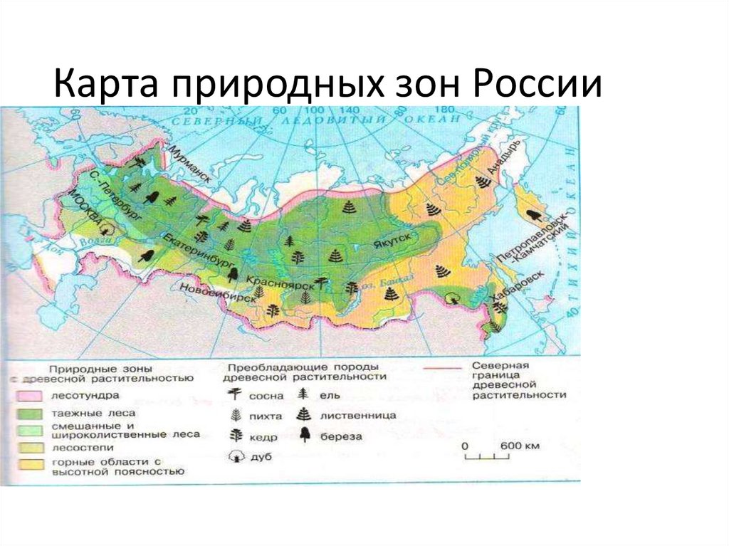 Карта российских зон