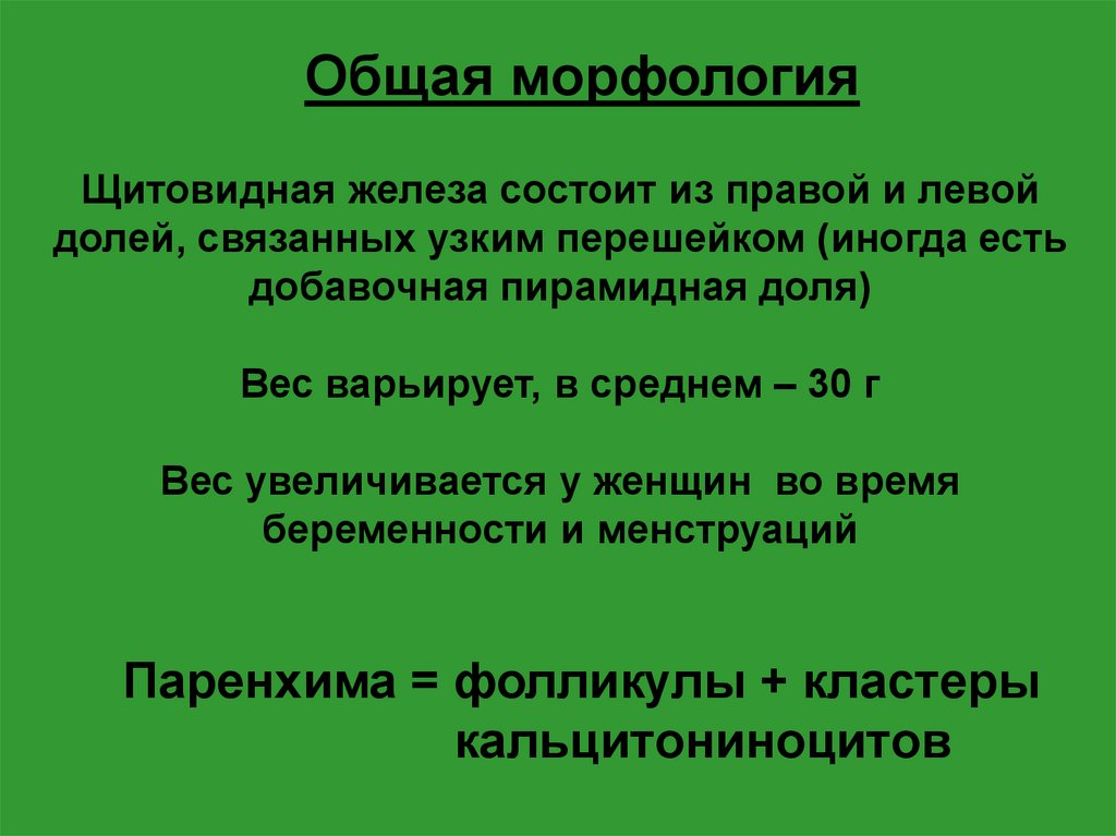 Морфология желез. Морфология щитовидной железы. Из чего состоят железы. Полипрагмазия морфология щитовидной железы.