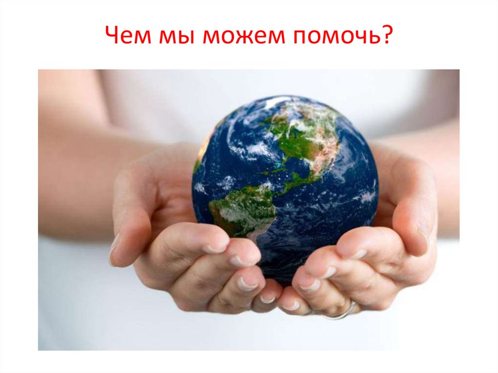 Чем мы можем помочь?