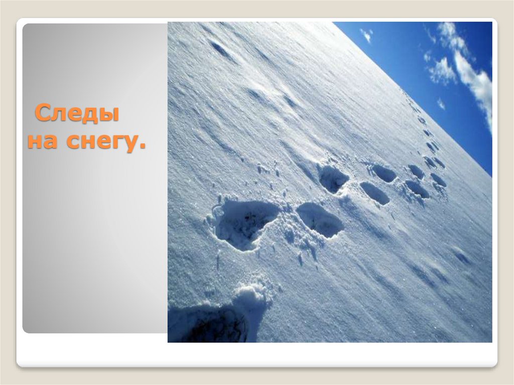 Следы на снегу.