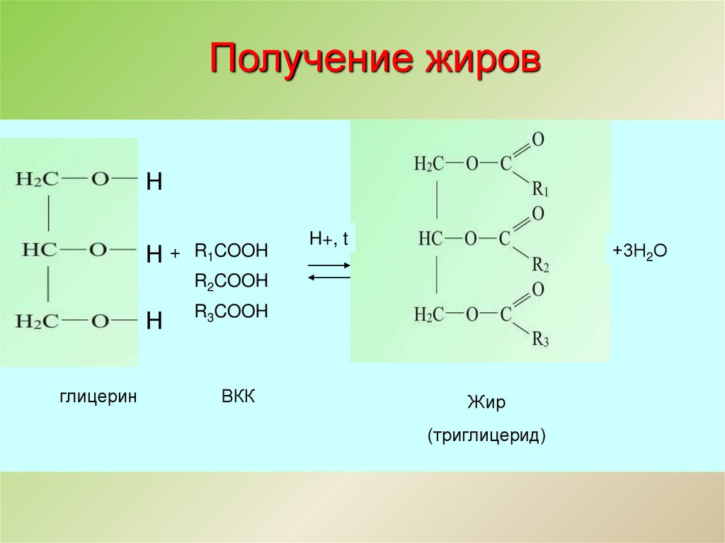 Химия жиры презентация