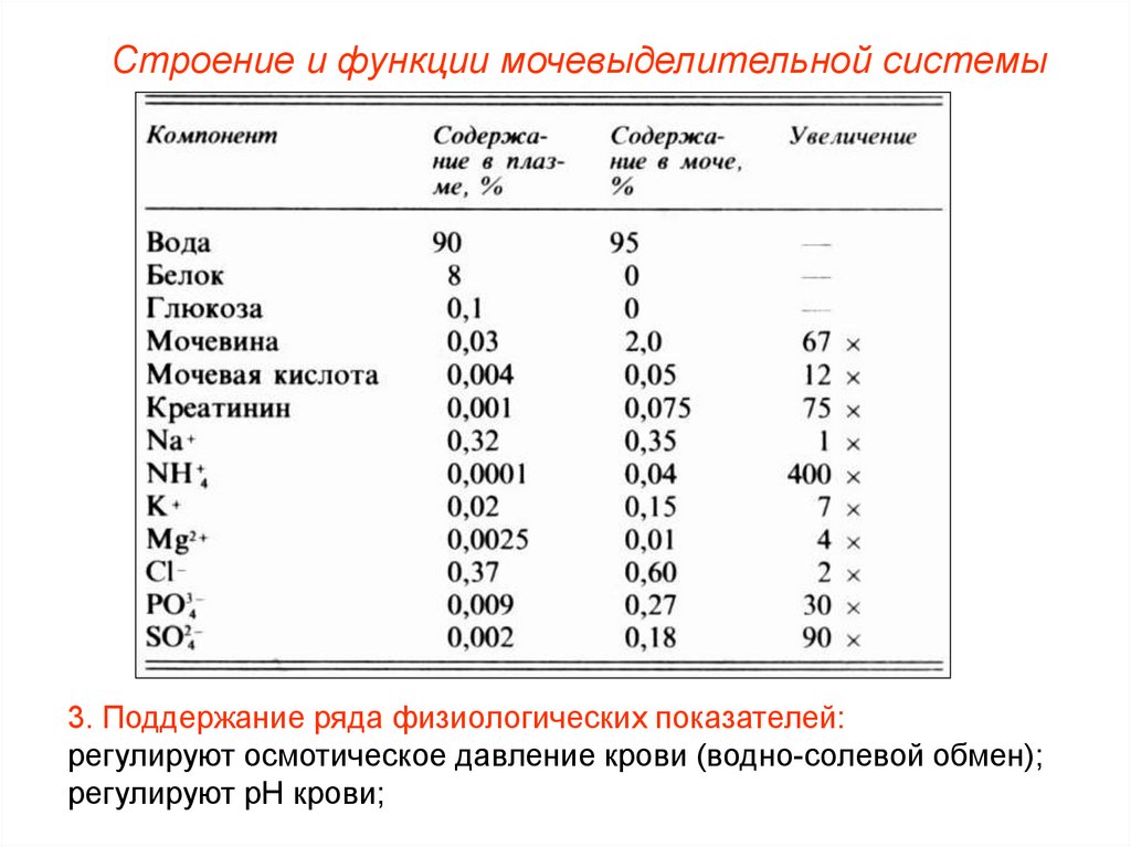 Креатинина мочевины мочевой кислоты