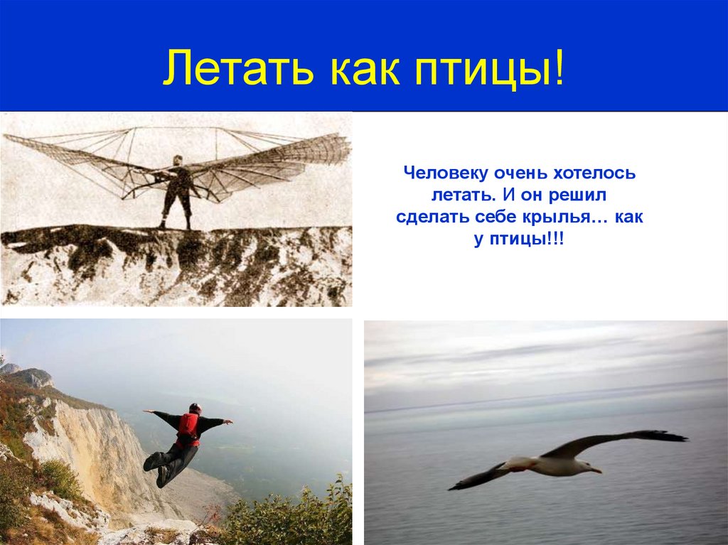 Зачем люди летают. Как летать. Как летают птицы. Крылья для человека чтобы летать. Как человек учился летать.