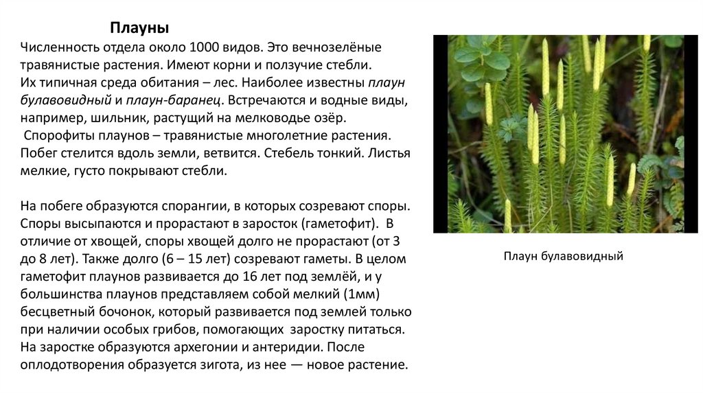 Вопросы к странице 75 - ГДЗ Биология 7 класс Учебник Сонин, Захаров