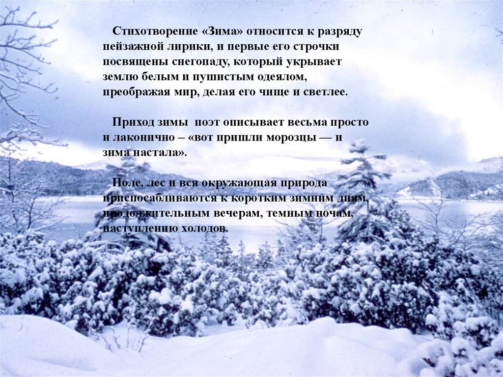 Стих зима анализ. Зима в поэзии. Стихотворение про зимний лес.