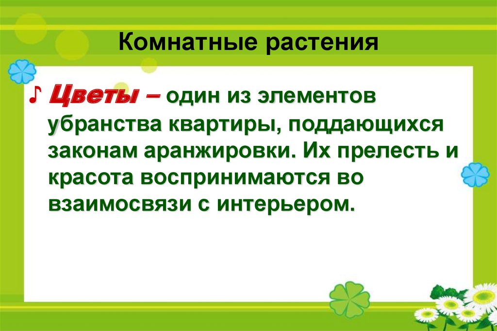Комнатные растения