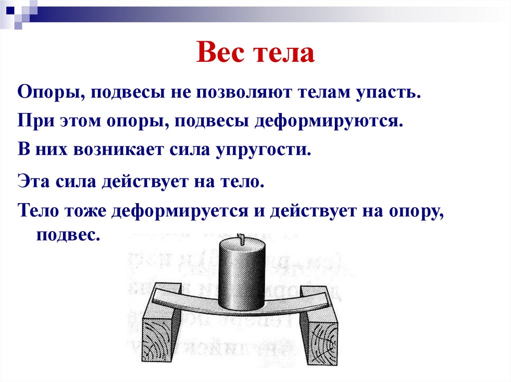 Тест вес тела