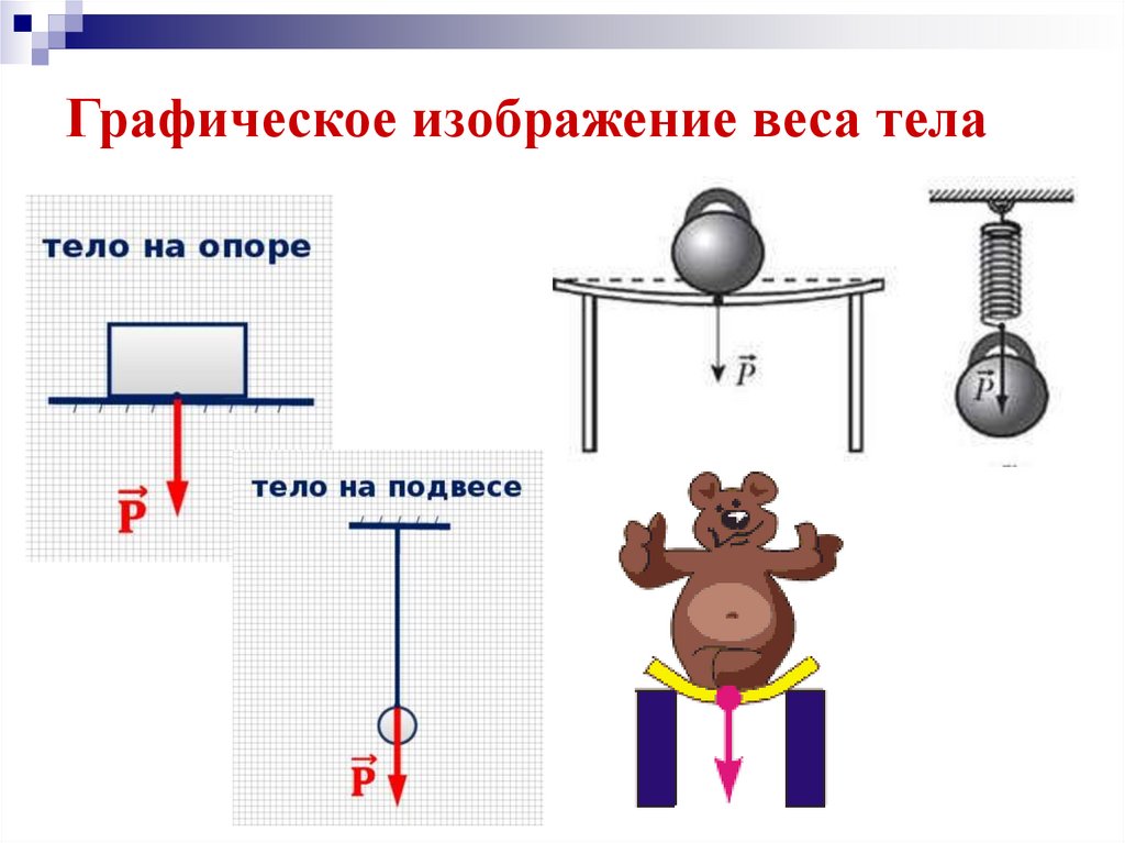 Векторы силы тяжести и веса тела нарисуйте