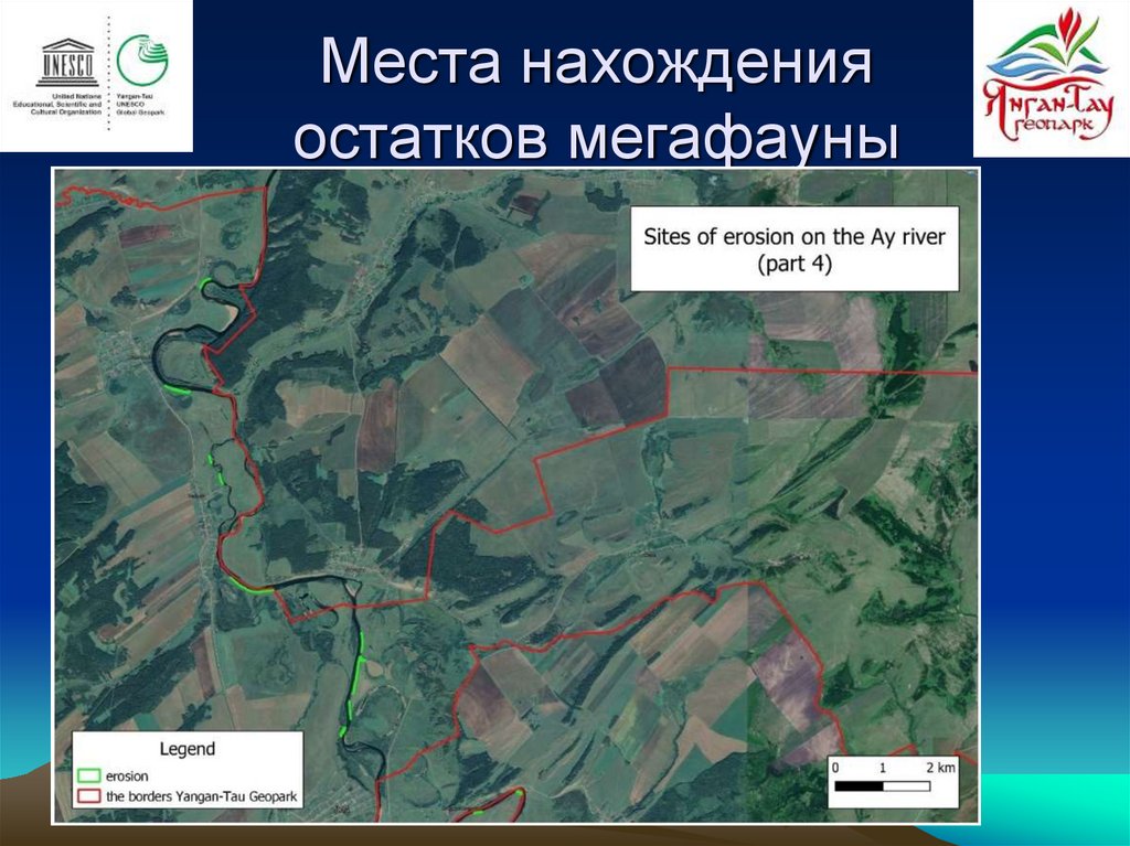 Места нахождения остатков мегафауны