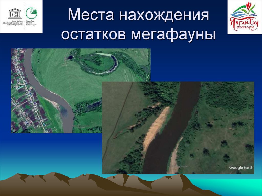 Места нахождения остатков мегафауны