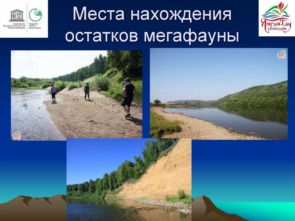 Места нахождения остатков мегафауны