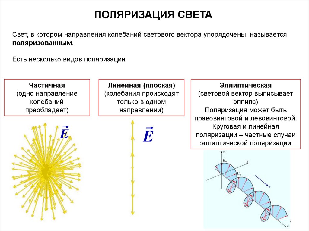 Виды поляризованного света